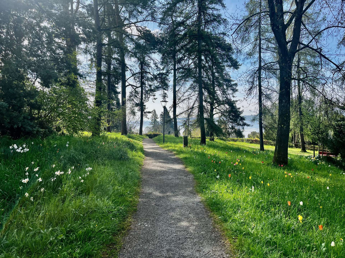 Nur ein paar Schritte...