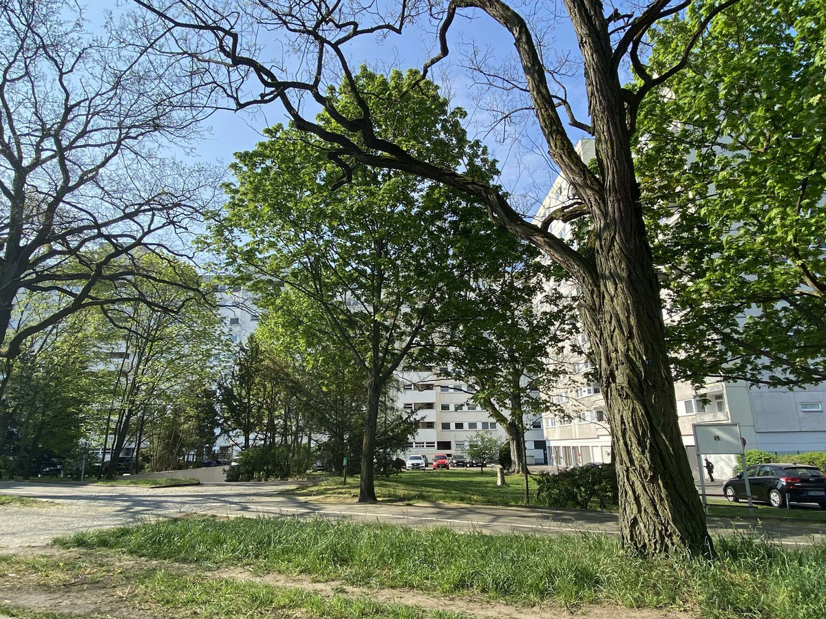 Einfahrt+zur+Tiefgarage