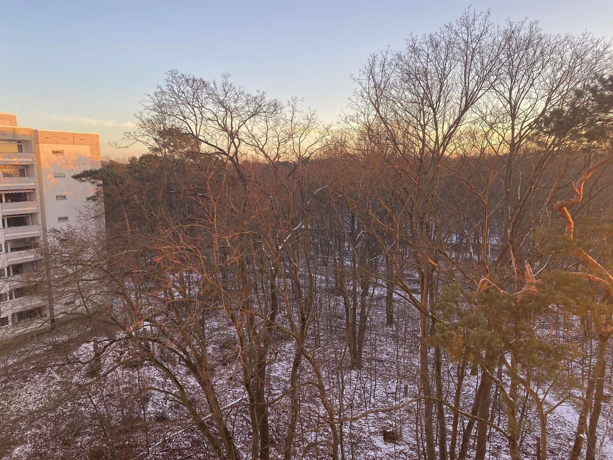 Ausblick vom Balkon