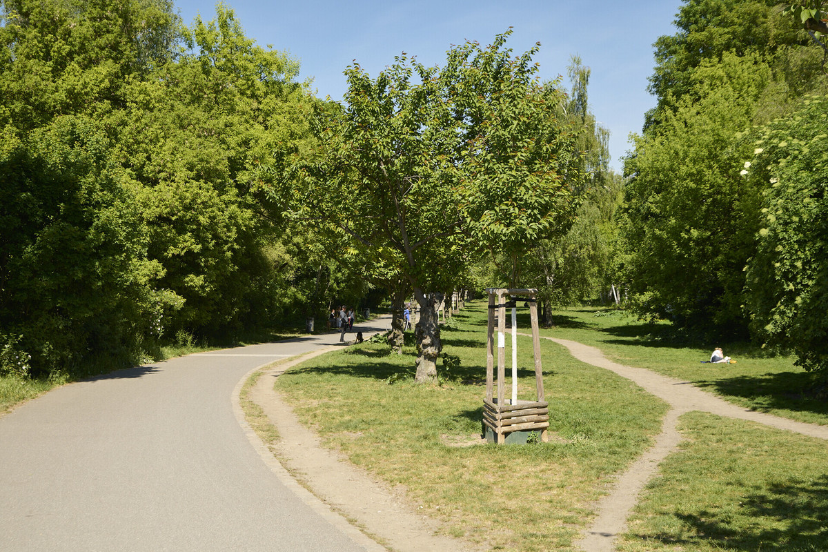 Umgebung