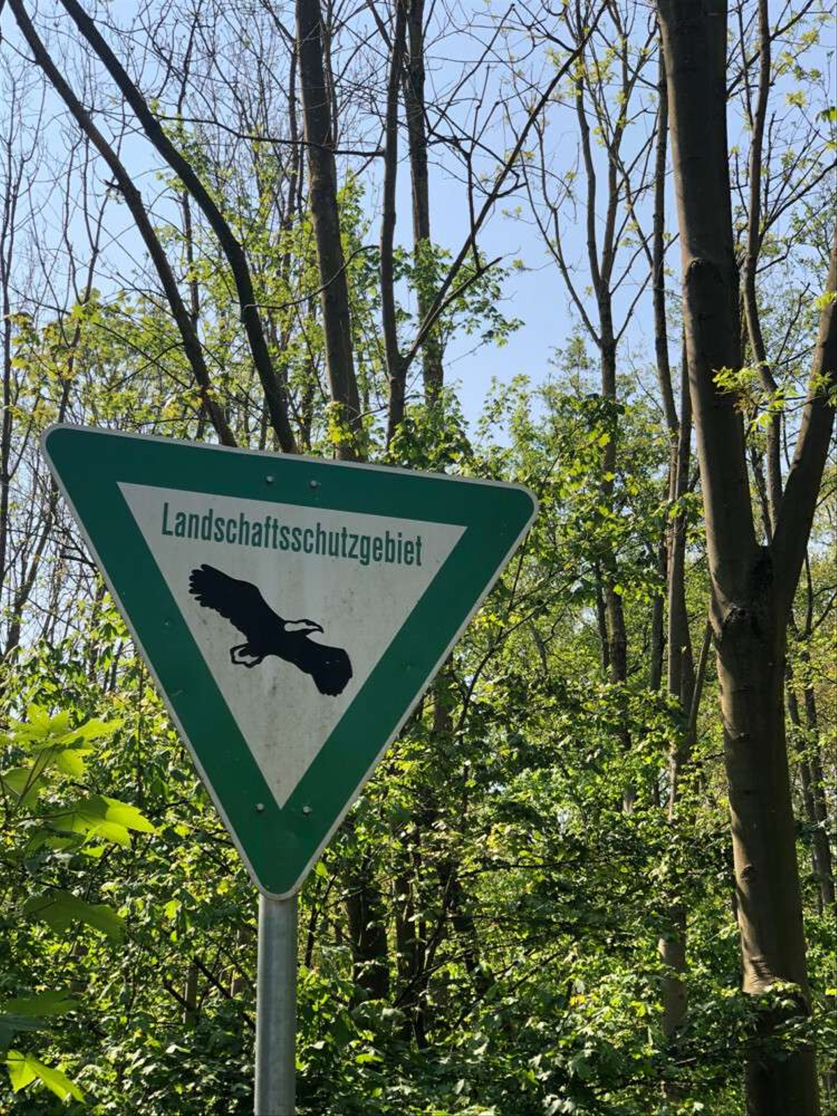 Mitten im Grünen