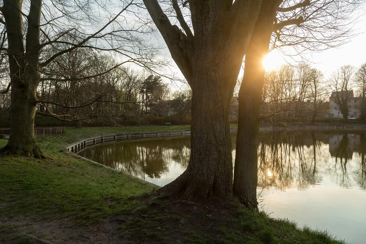 umgebung-hielscherstrasse-berlin-pankow-©-fortis-group