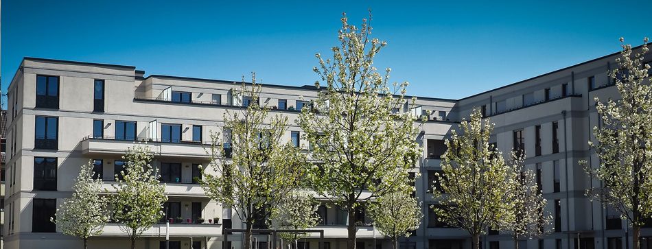 Immobilienpreise steigen weiter an