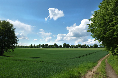 mettmann_landschaft_kl
