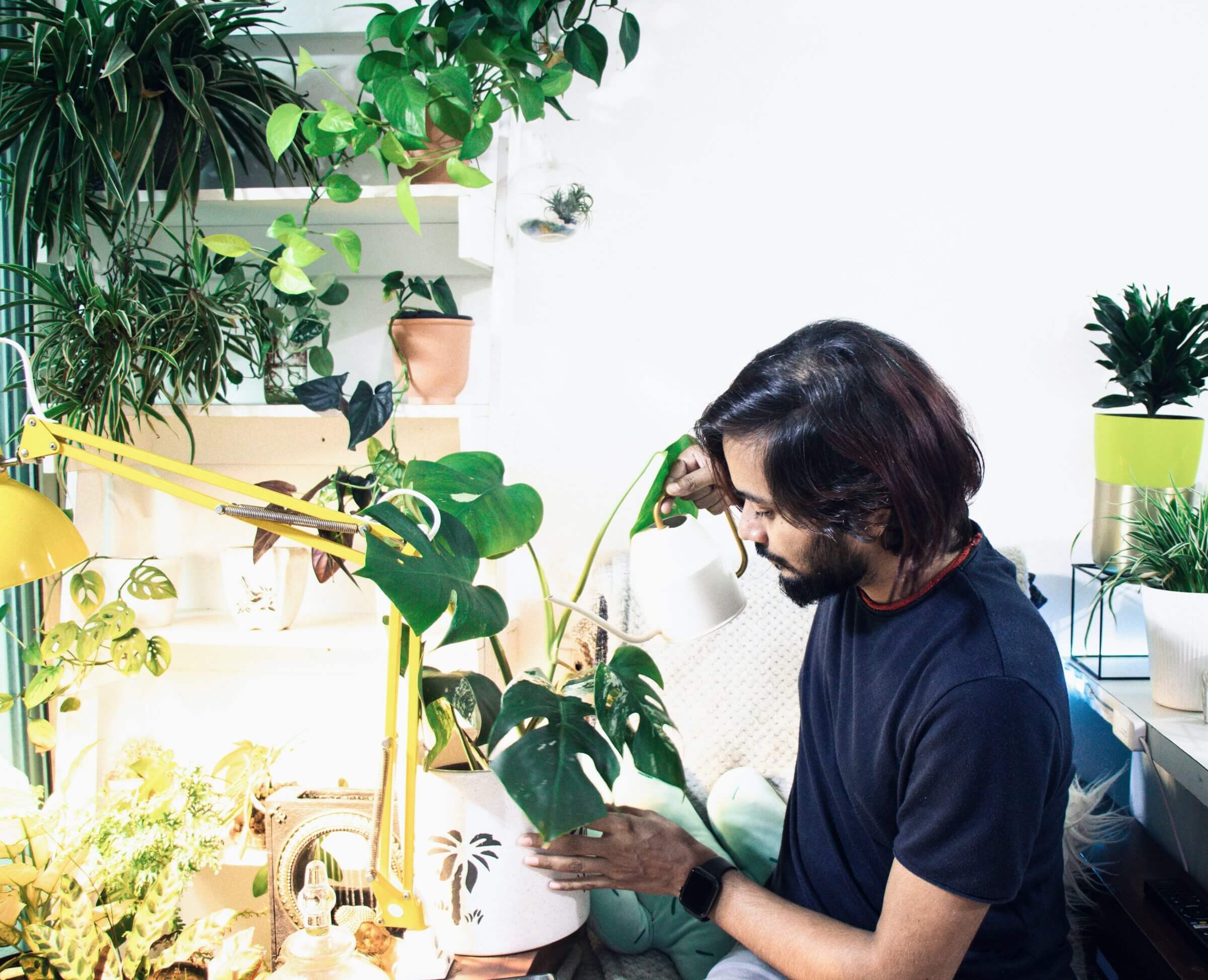 Im Trend: Indoor Gardening