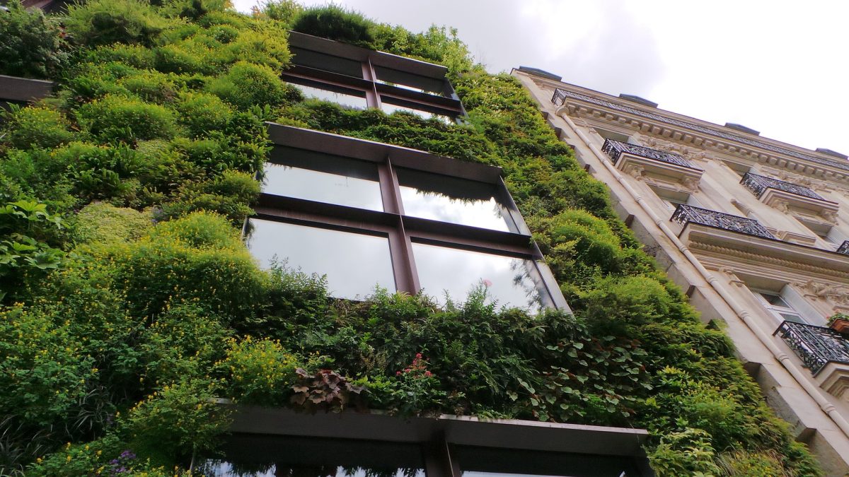 Green Buildings: Überblick über die Nachhaltigkeits-Zertifikate DGNB, LEED und BREEAM
