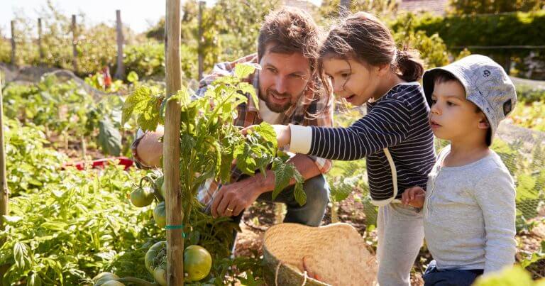 3-tipps-fuer-den-familien-garten