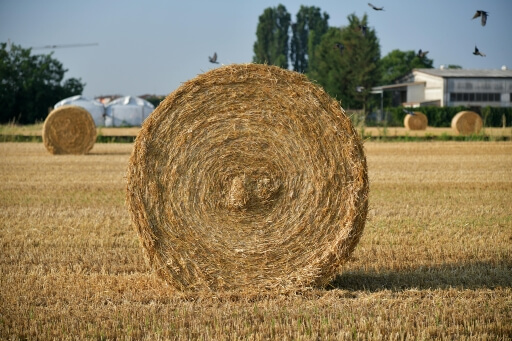 Ein Heuballen im Fokus auf einem abgemähten Feld. Für Ruhesuchende ist das beschauliche Landleben wichtig bei der Kaufentscheidung.