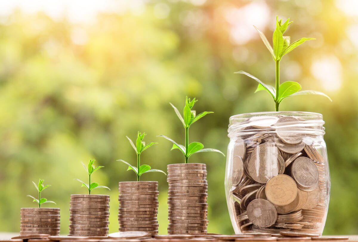 Gestapelte Münzen und ein Zweig im Hintergrund symbolisieren die finanziellen Chancen beim Förderprogramm KNN (Klimafreundlicher Neubau im Niedrigpreissegment)