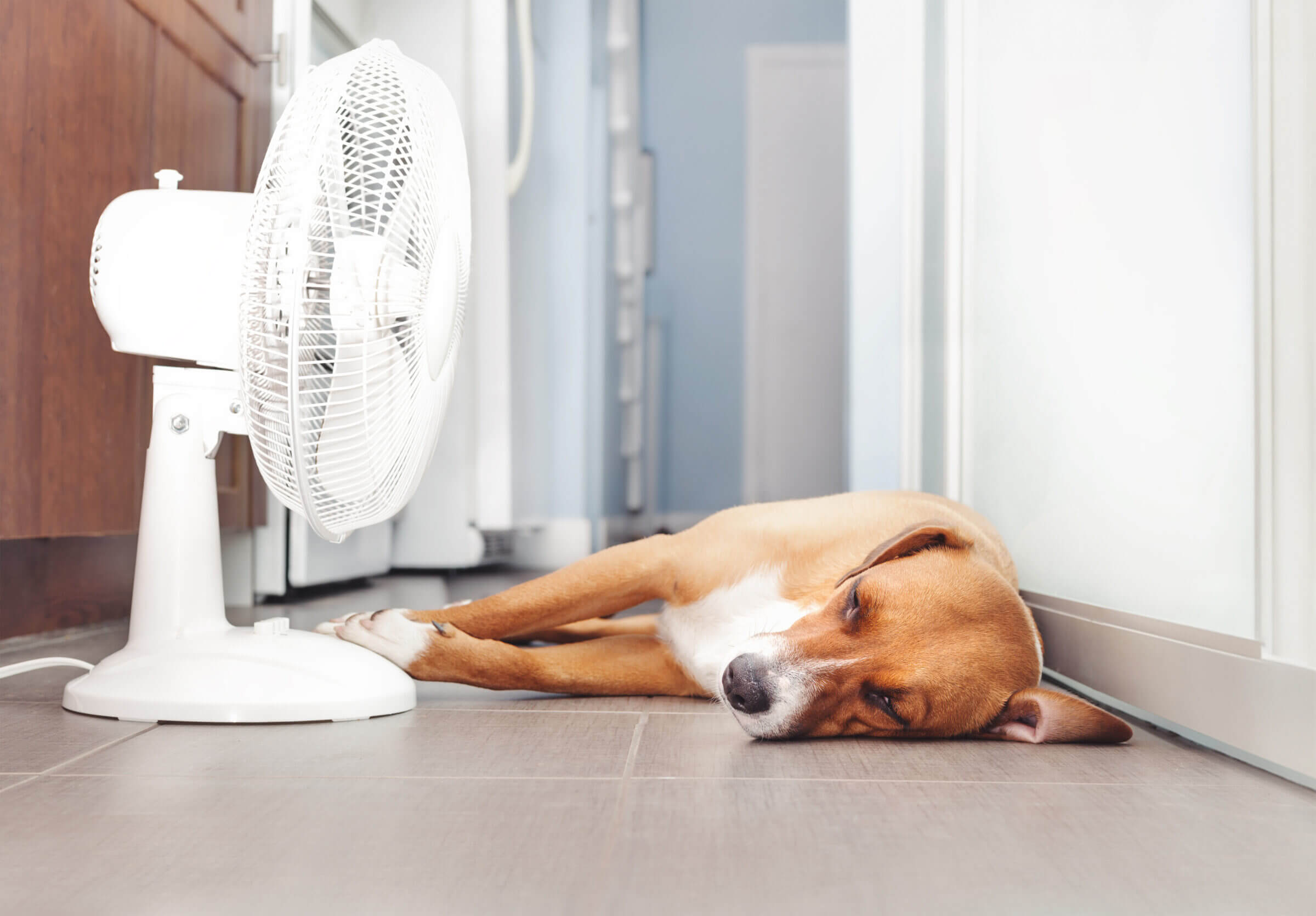 Flächenkühlung im Neubau: coole Tipps zur Raumkühlung