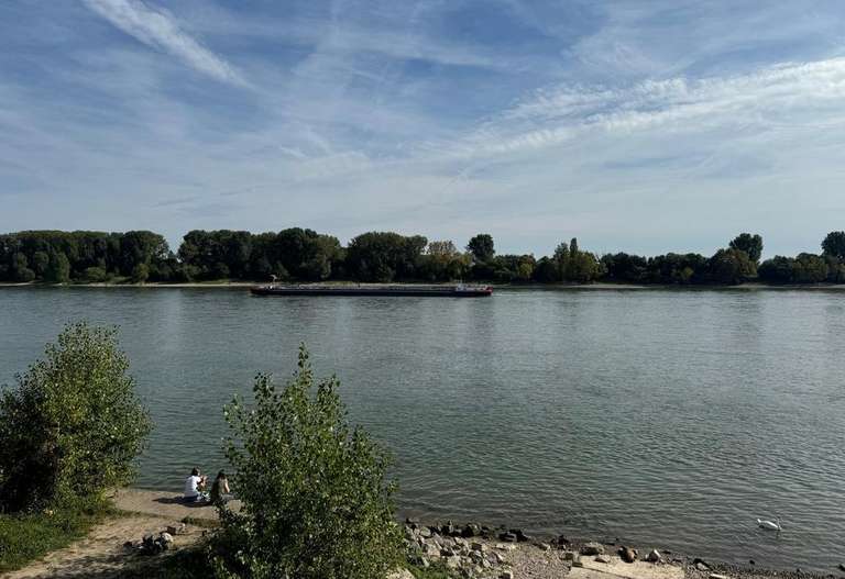 rheinnahe.jpg
