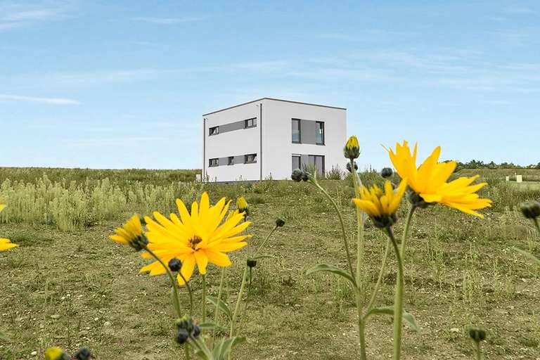 haus-a 60251-c b.jpg
