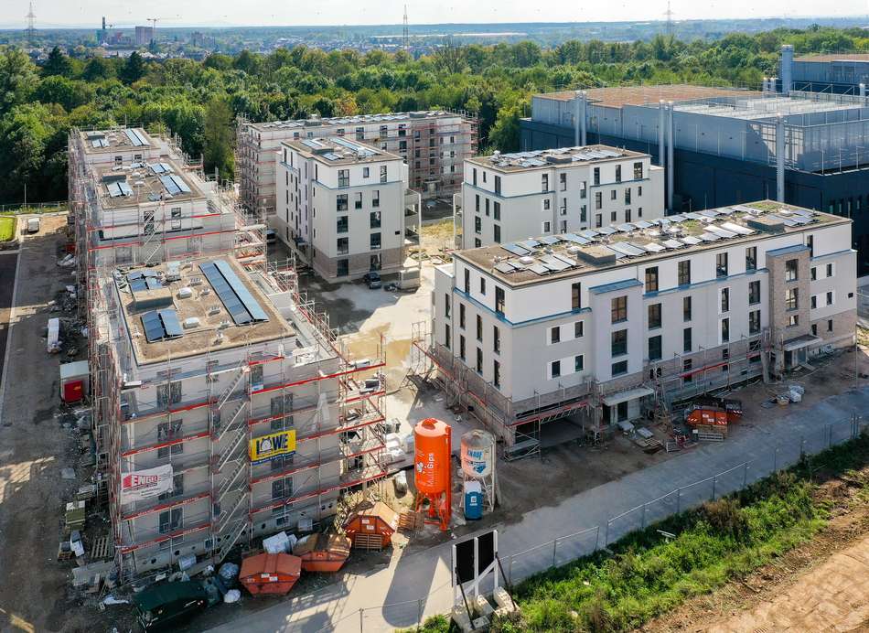 Hattersheim Baufeld 5
