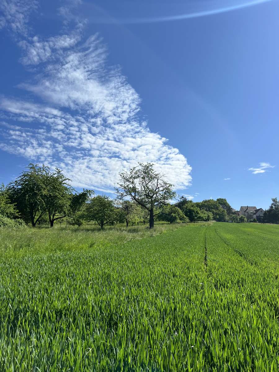 Natur