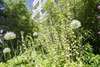 7b560b0a-5aa4-4eb9-8704-4f19f