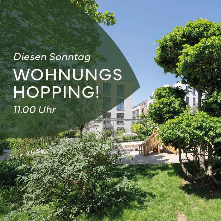 06.09VisusImmoScoutBlätter