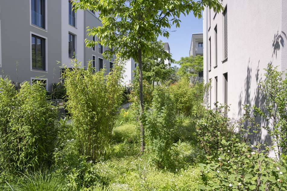 Außergewöhnliche Außenanlage