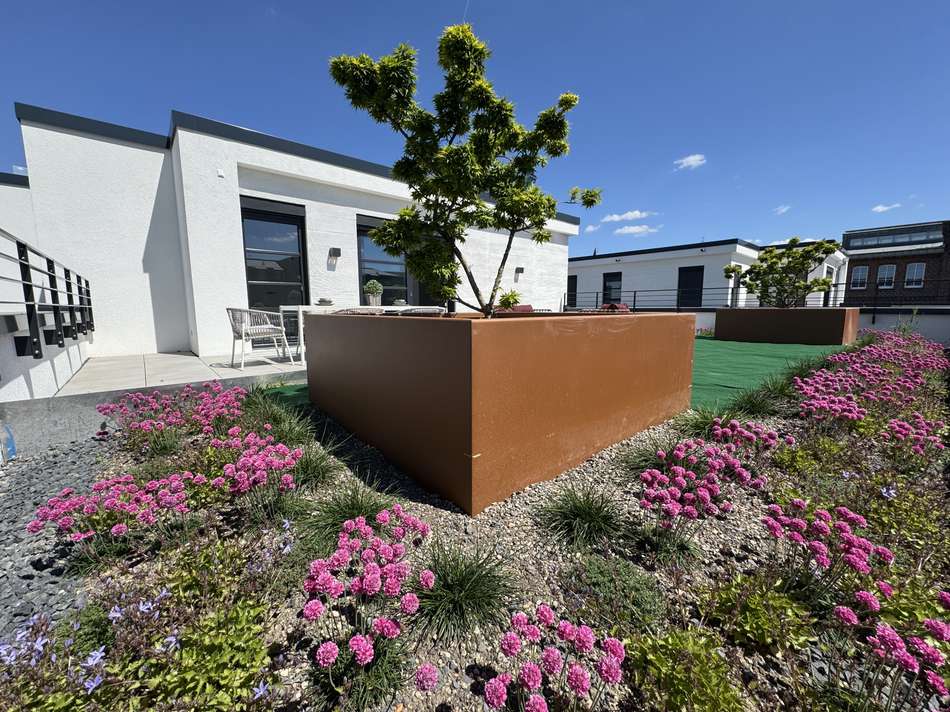 Dachterrasse 27-28