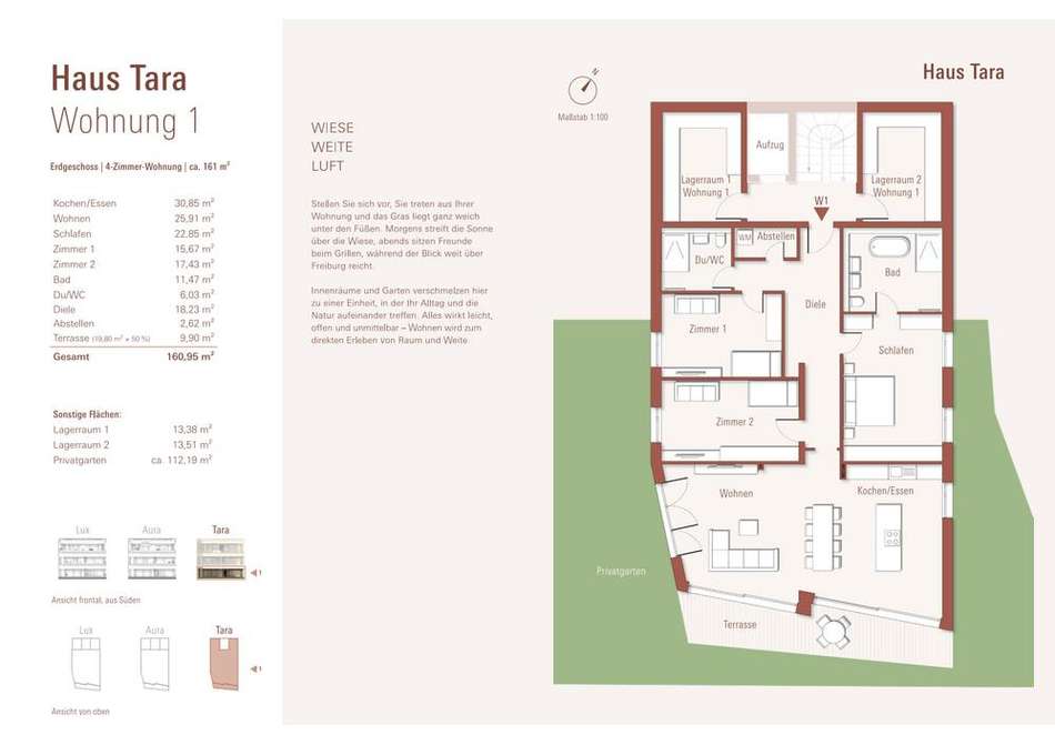we tara 1 1.11.2 .jpg