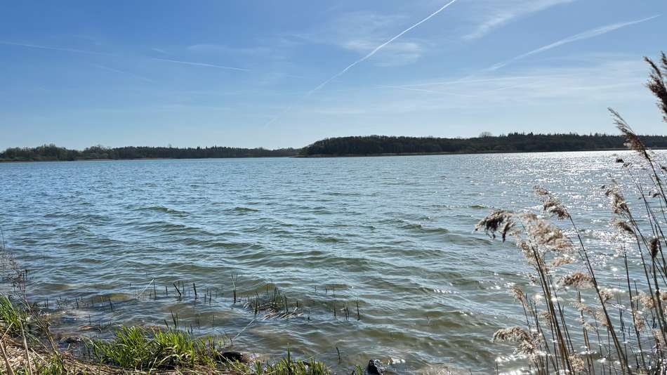 Blick-auf-den-Selenter-See-au