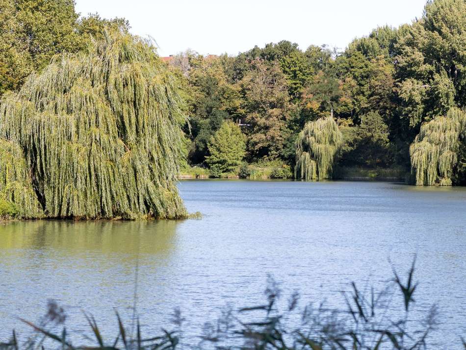 Lietzensee in Spazierweite