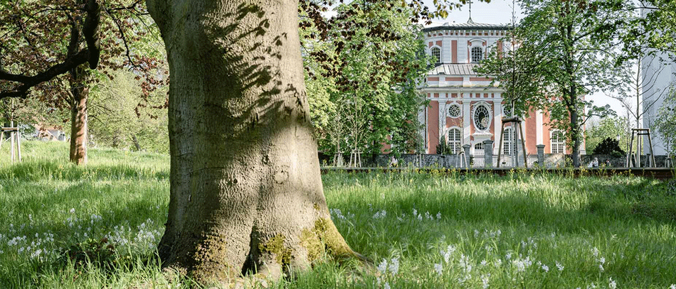 Nur ein kurzer Spaziergang führt Sie in die Idylle des Schlossparks Buch 