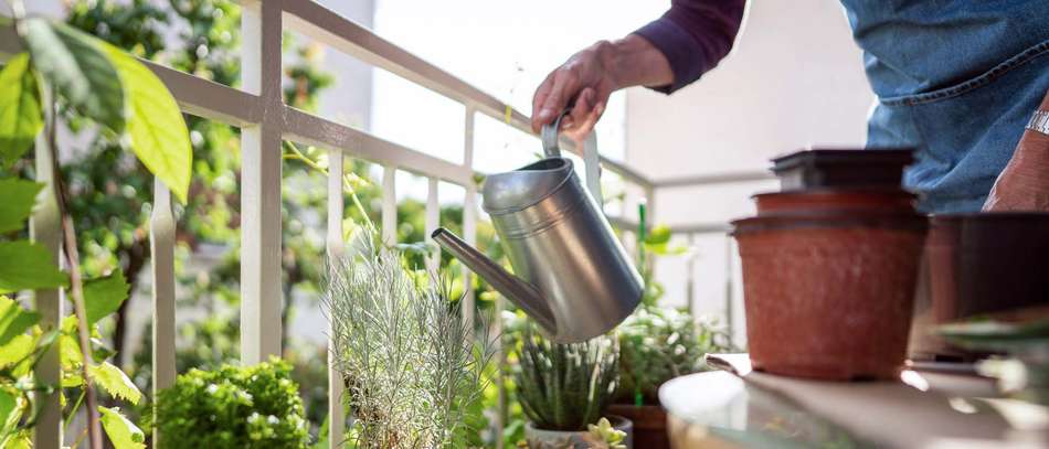 Beweisen Sie Ihren grünen Daumen ob auf der Terrasse oder Balkon