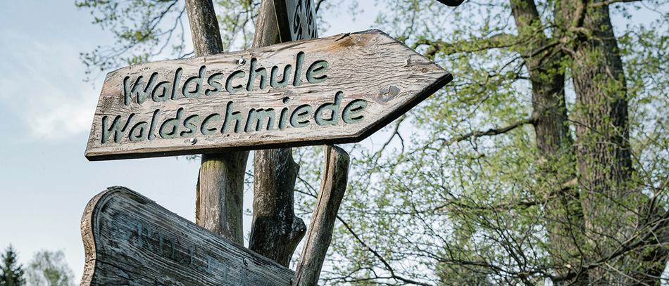 Im Wohnquartier Waldpanorama finden Sie ein Zuhause zwischen Stadtleben und Natur