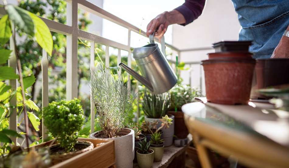stockbild sudringterrassen vie