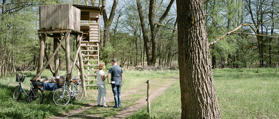 Erholung für alle Naturfans im Naturschutzgebiet Bogensee