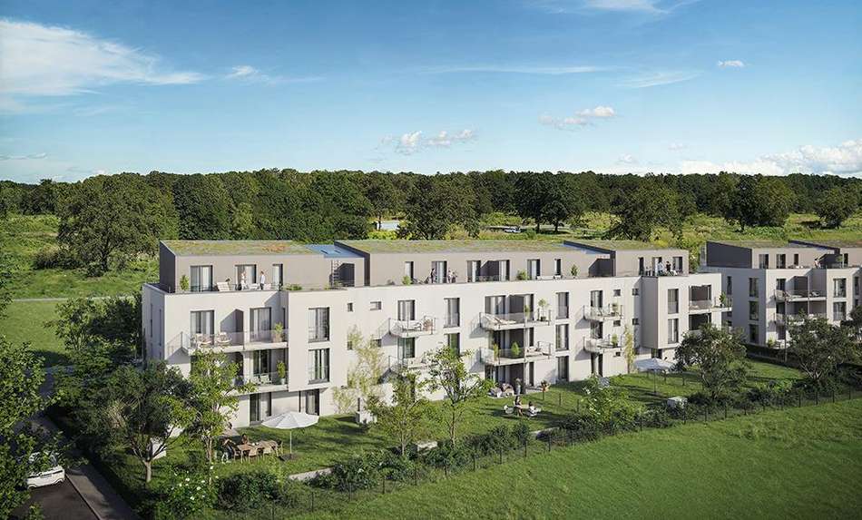 2024-10-18 bg-24-0002 leuchte-