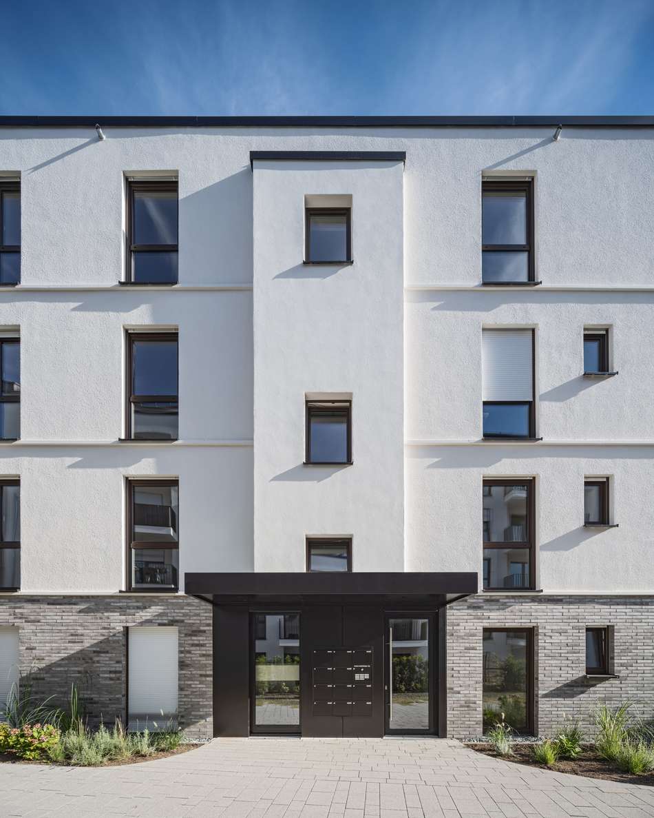 VERO 7
