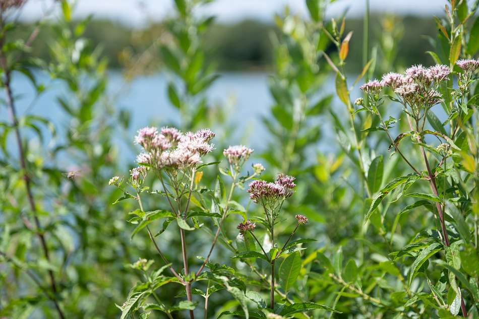natur- und zugleich stadtnah