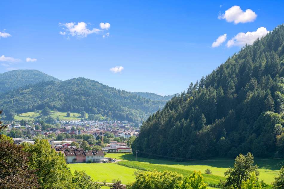 Ausblick zur Kernstadt Waldki