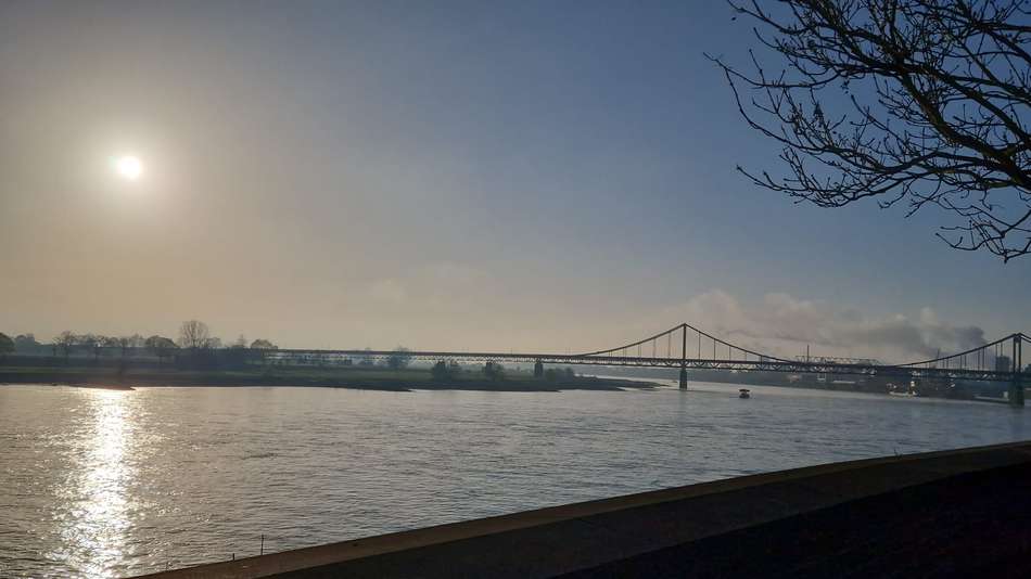 Rhein Blick!