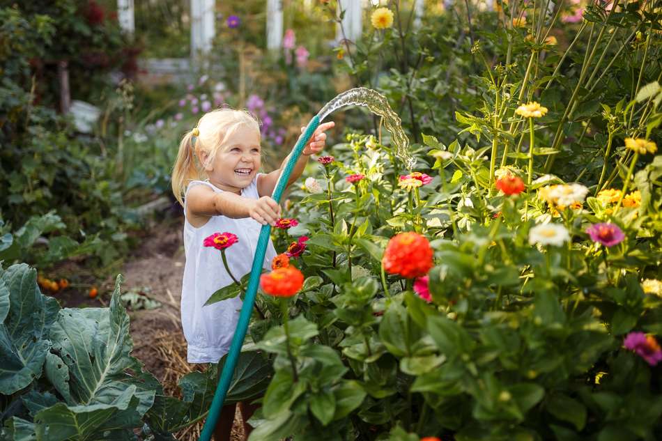 Garten-Impression
