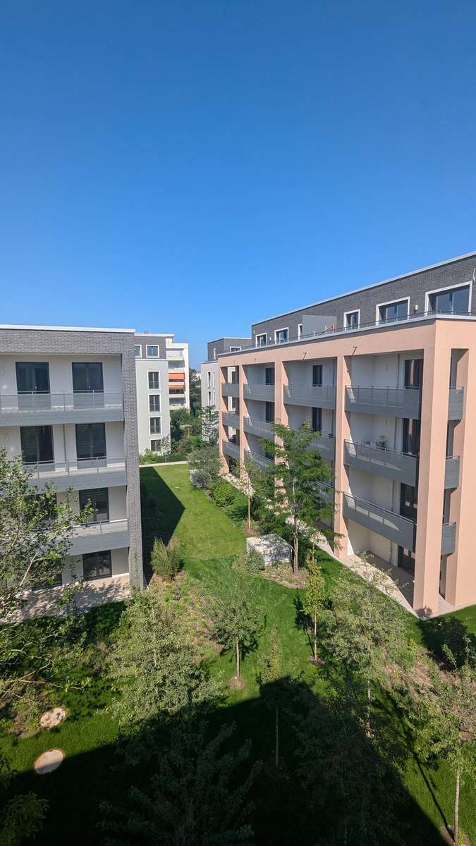 pxl 20250811 090438562.jpg
