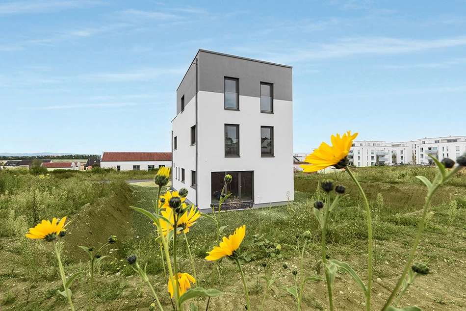 haus-c 60256-a b.jpg