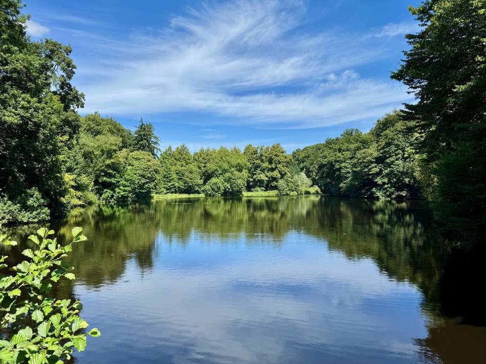 Alsterlauf  & Umgebung