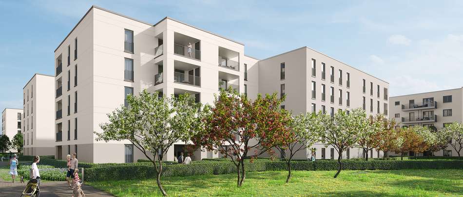 Visu North-Garden