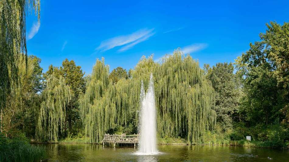 grosser teich im volkspark fri