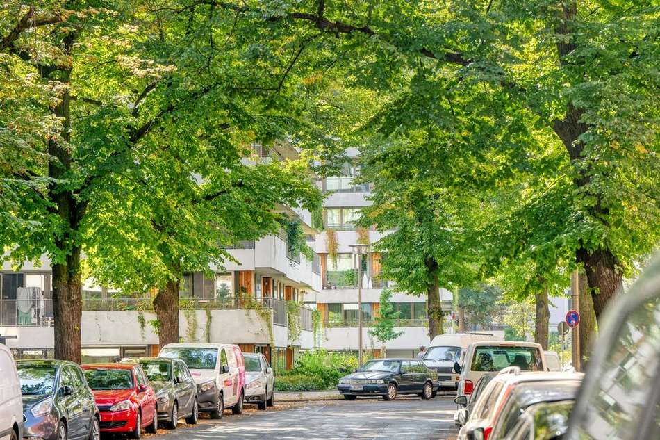 idyllische nachbarschaft.jpeg