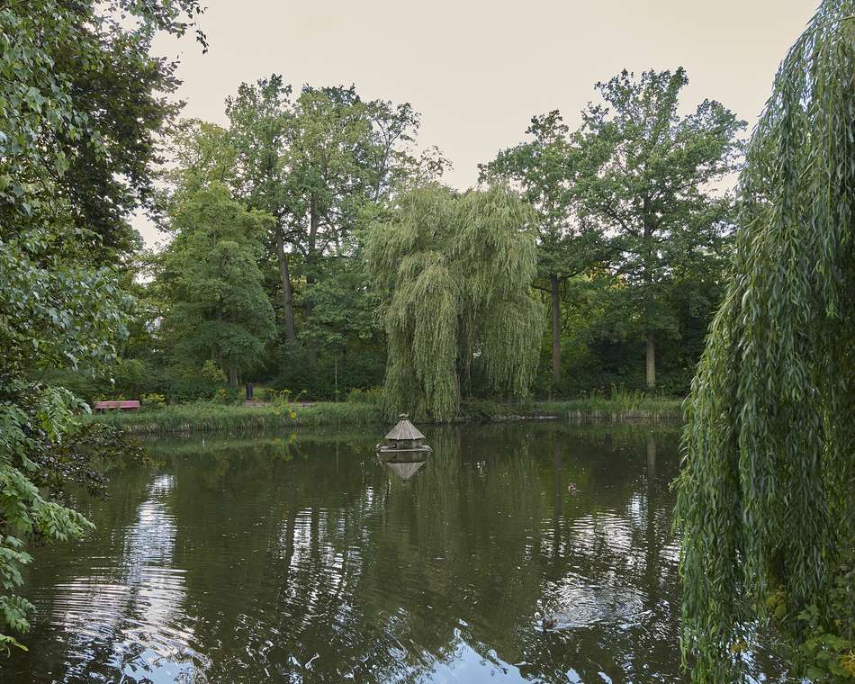 Umgebung
