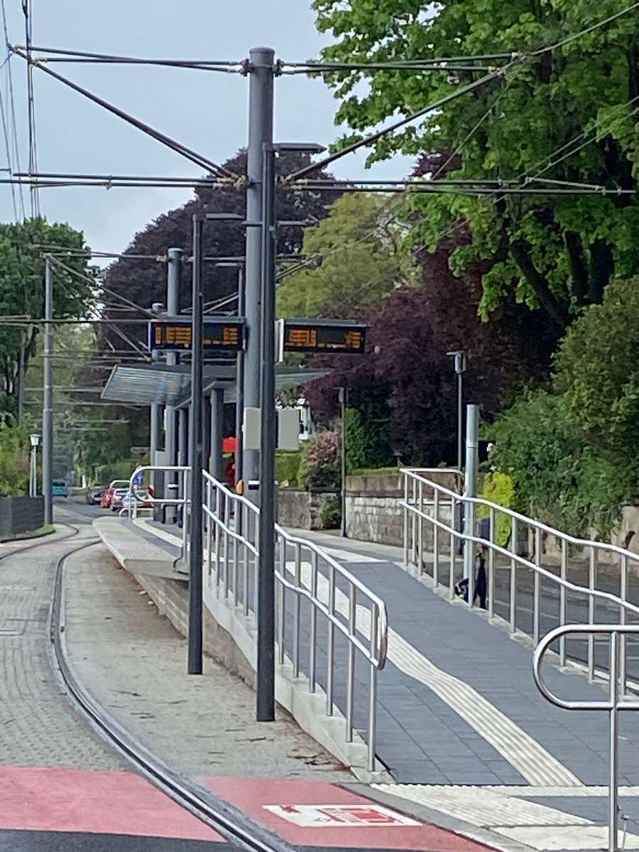 Linie-66