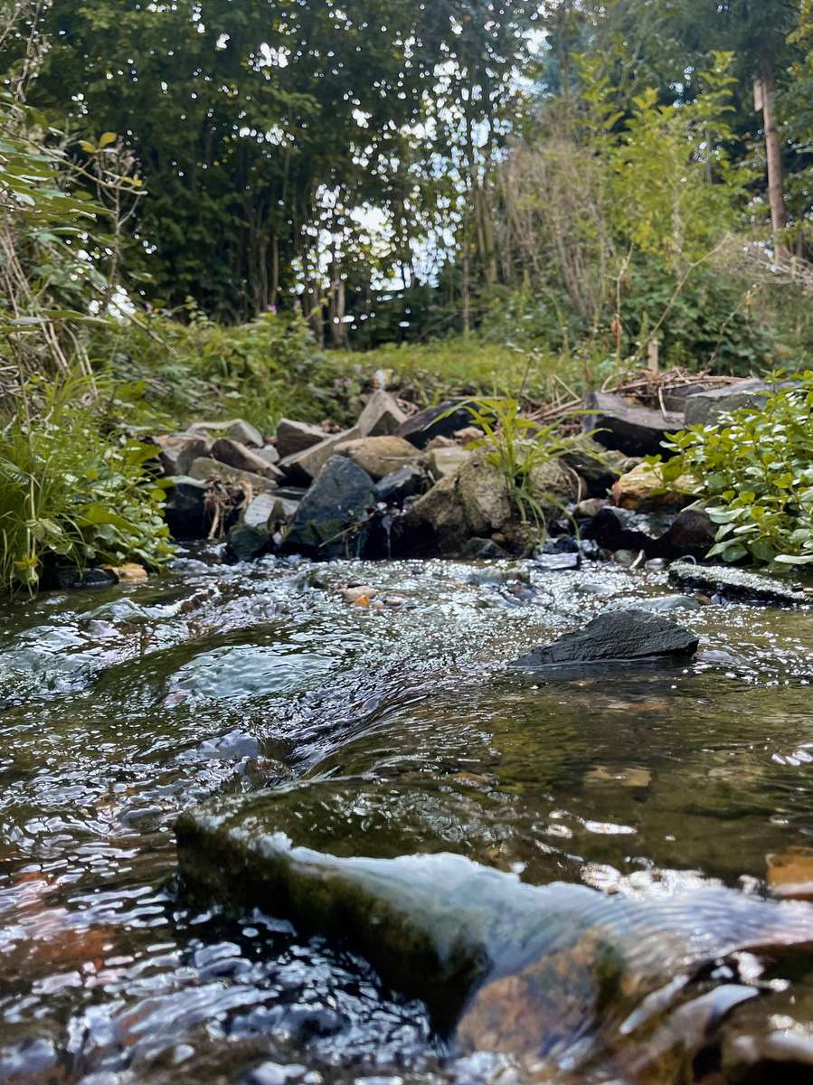 Mühlenbach