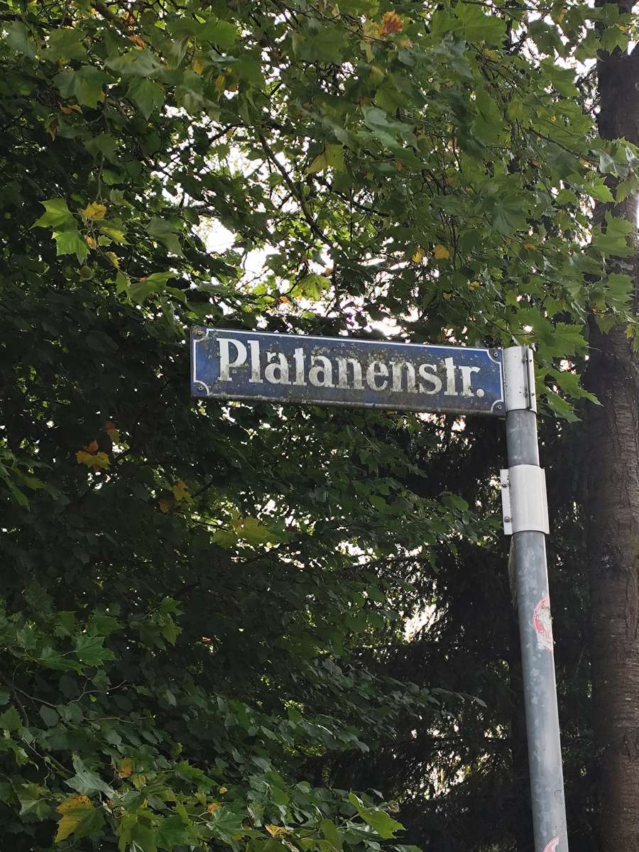 Platanenstraße