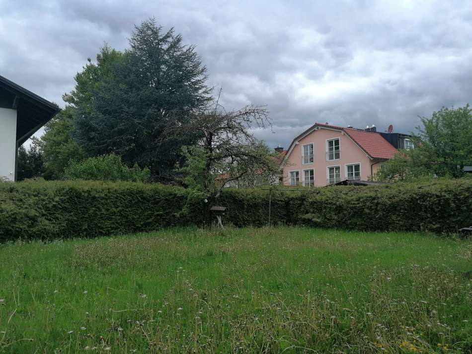 Garten vor Baubeginn