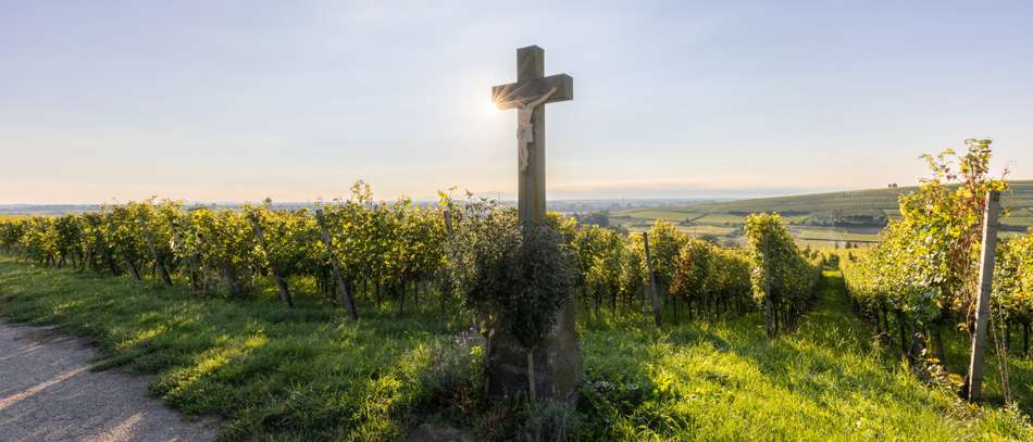 Ehrenkirchen Weinberge